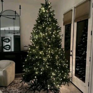 547478738 122133775394929846 6902397677740243604 n